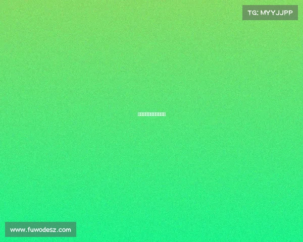 赛事助理—赛事助理裁判 赛事助理—赛事助理裁判